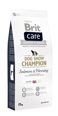 Brit Care Dog Show Champion 
