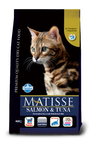 Matisse Salmon & Tuna